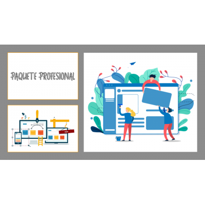 Membresia Web Paquete profesional