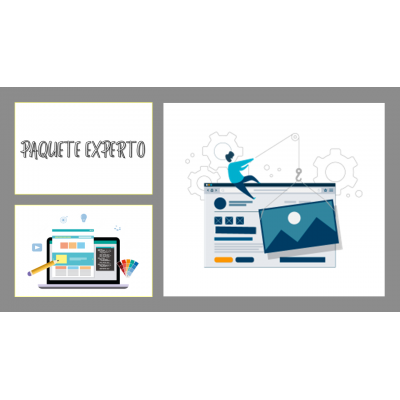 Membresia Web Paquete experto